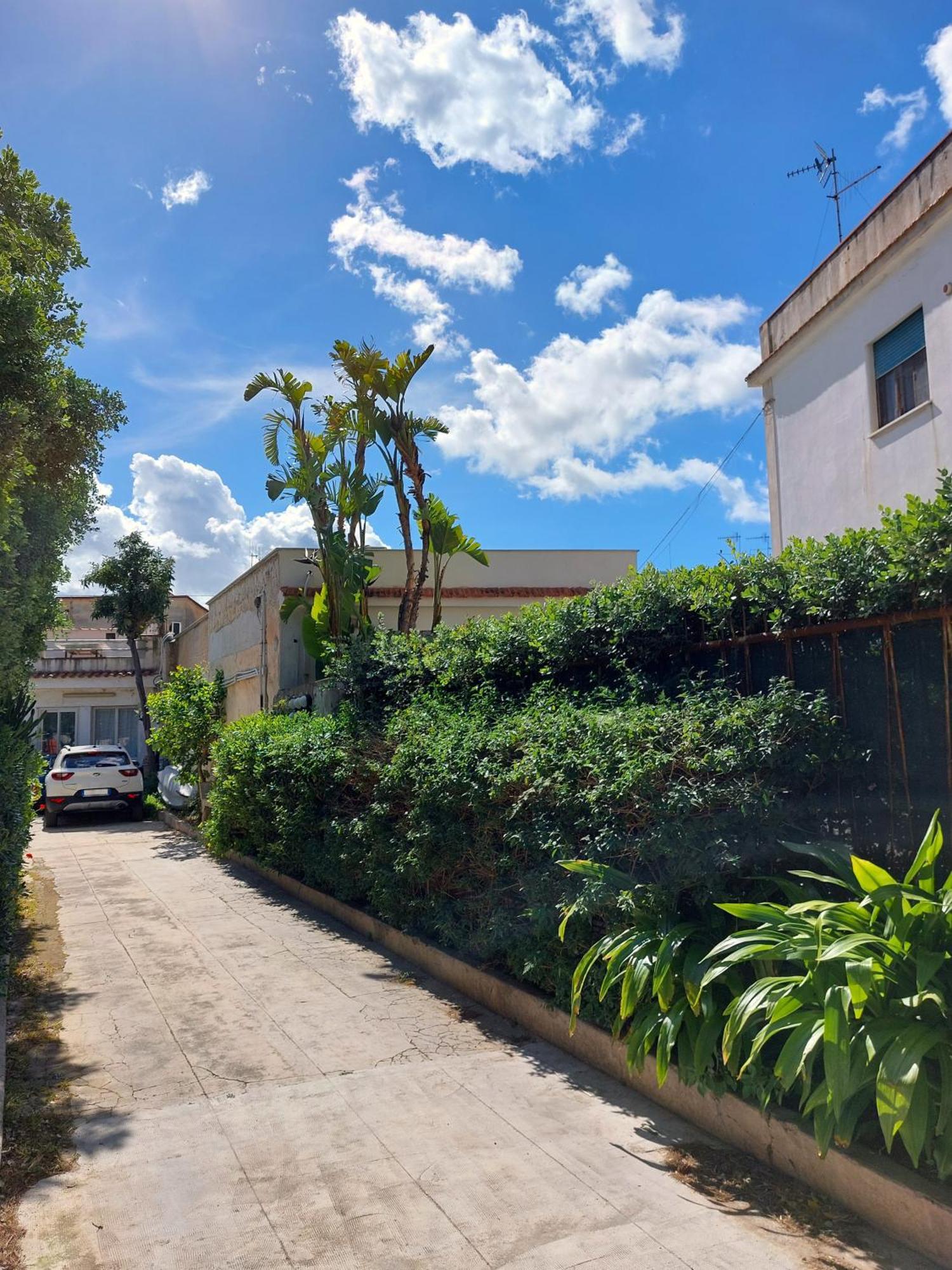 Salsedine Apartment Palermo Eksteriør bilde